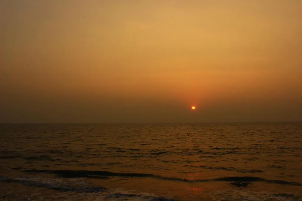 Sea Hut Homestay Kochi
